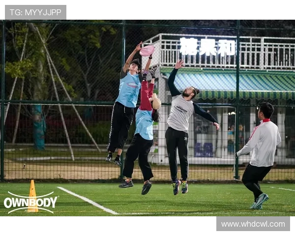 杭州飞盘队区域防守分析与战术得失探讨