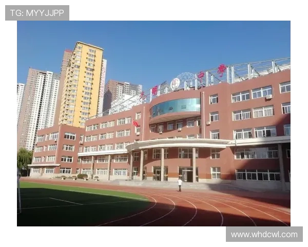 史鸿飞的奋斗历程与人生哲学探索：从平凡到卓越的成长之路